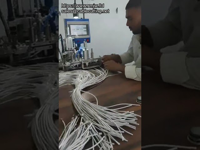 Mesin Pemateri Penyambung USB Automatik - Pembuat Kabel Data & Pengecas Berkualiti Tinggi
