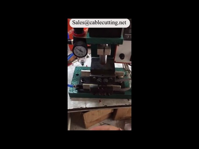 Mesin Penanggal Penebat Elektrik Panas WPM-2015 – Tepat & Cekap untuk Automasi Kilang