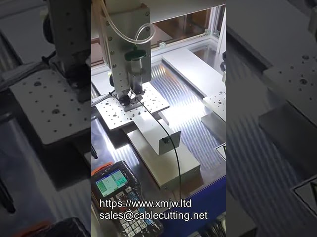 Mesin Dispenser Gam AB Desktop 3 Paksi / 4 Paksi - Boleh Disesuaikan