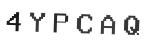 Verification Code Image
