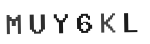 Verification Code Image