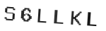 Verification Code Image